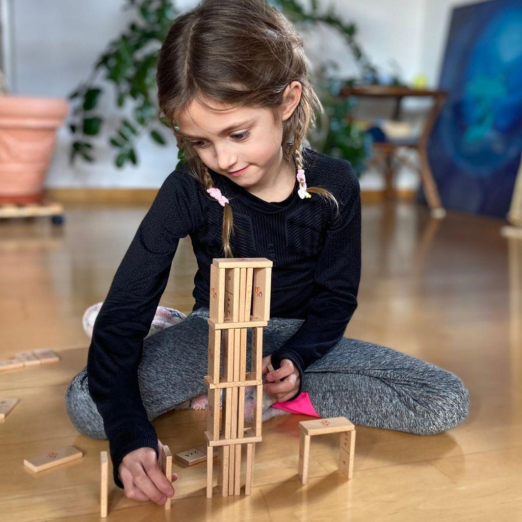 Dim Gray Mathomino Plus & Minus Wooden Educational Montessori Toys